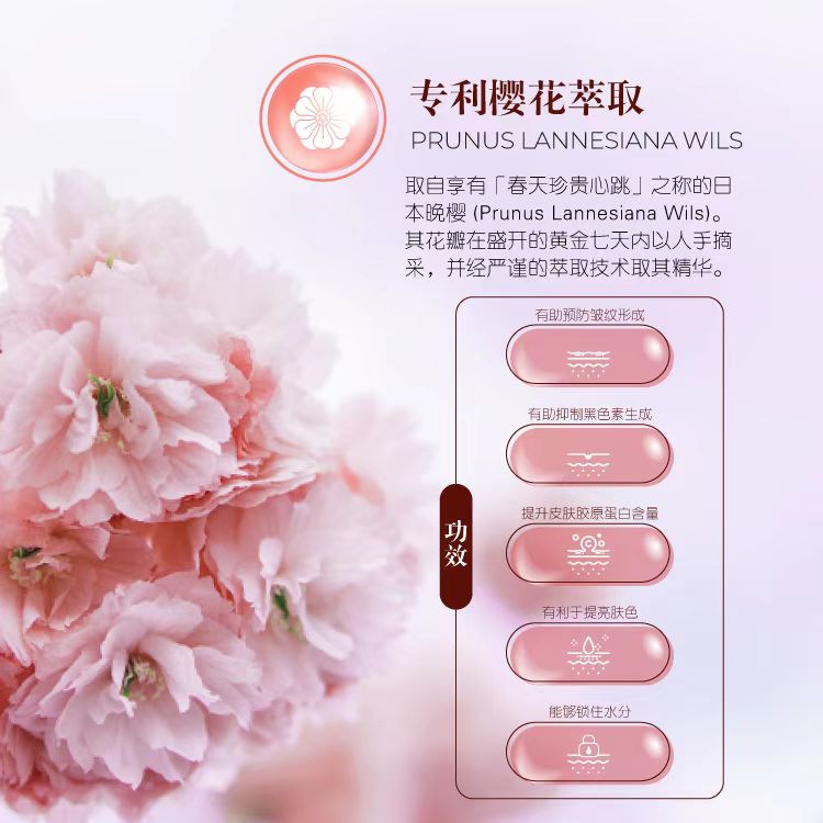 Sakura Collagen+